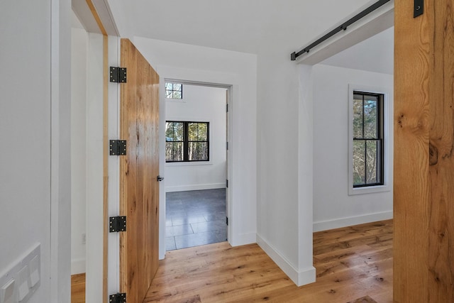 hall featuring light wood-type flooring, a wealth of natural light, and a barn door