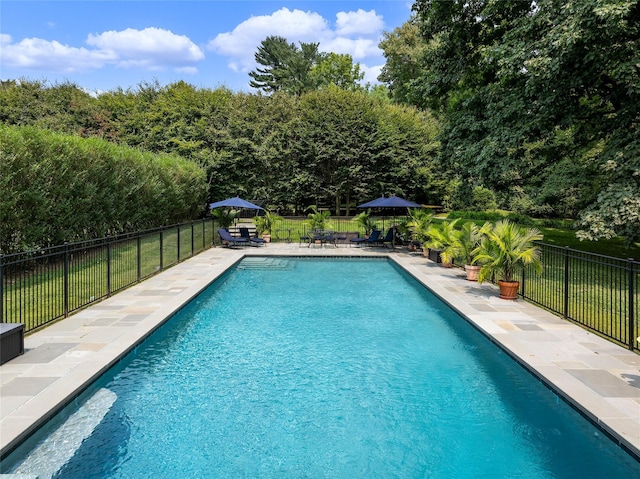 view of swimming pool featuring a patio area