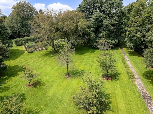 36 Revolutionary Rd, Briarcliff Manor, NY 10510 - bird's eye view