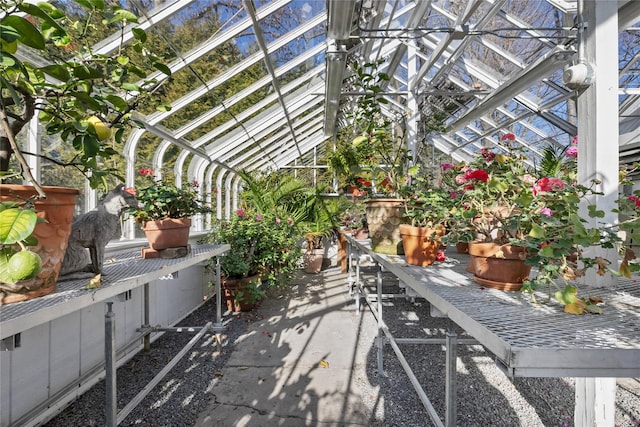 36 Revolutionary Rd, Briarcliff Manor, NY 10510 - view of patio / terrace