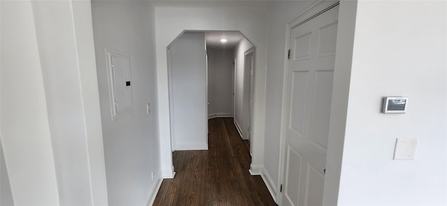 corridor with dark hardwood / wood-style flooring and electric panel