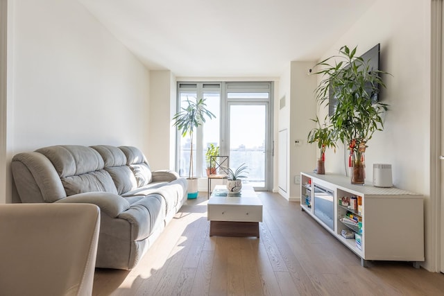 living room featuring wood-type flooring and a wall of windows