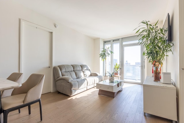 living room with floor to ceiling windows and light wood-type flooring