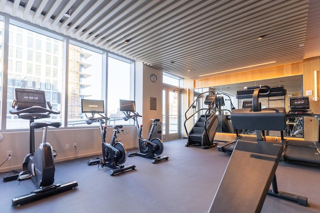 exercise room with a wealth of natural light