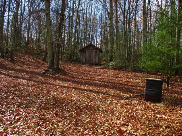 view of yard featuring a shed