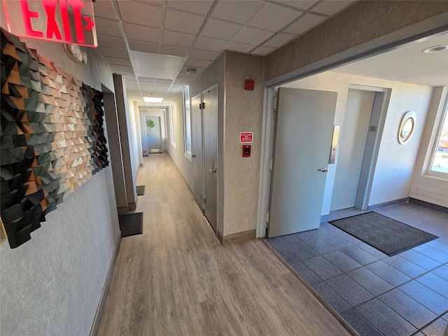 hall with a drop ceiling and light hardwood / wood-style floors