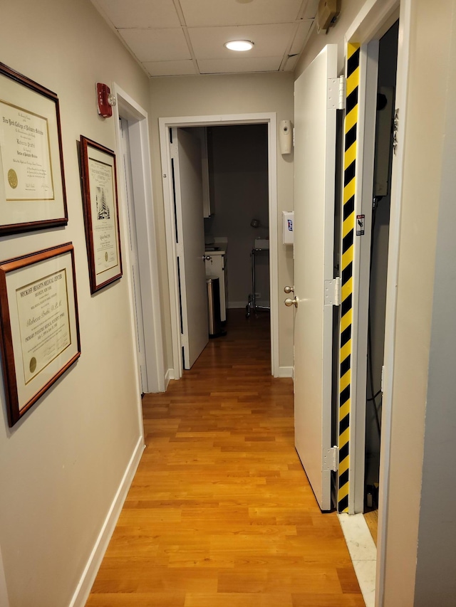 hallway with a paneled ceiling and light hardwood / wood-style floors