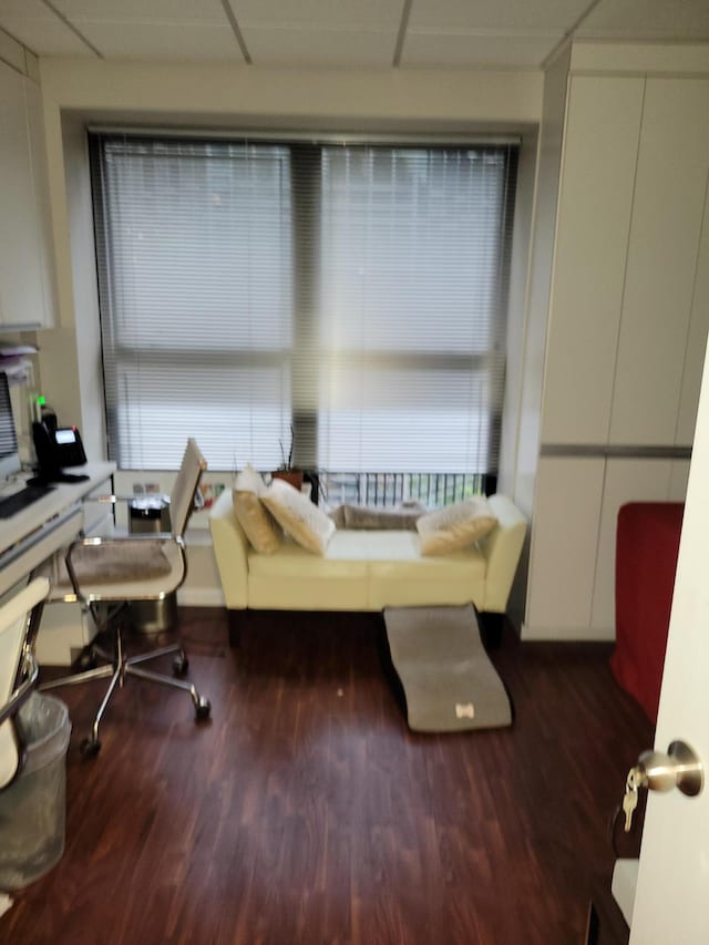 office with a drop ceiling, dark wood-type flooring, and a wealth of natural light