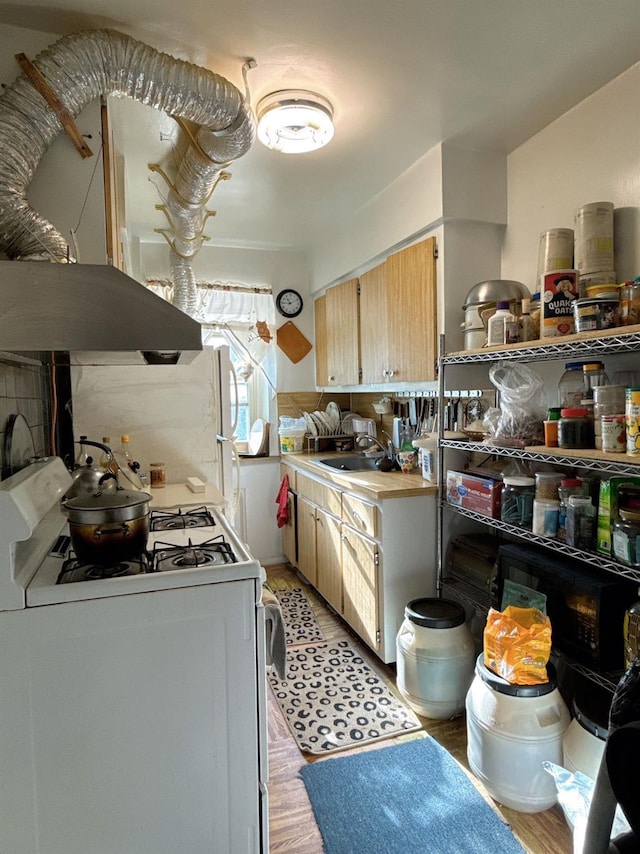 kitchen with ventilation hood, light wood-type flooring, white range with gas stovetop, and sink