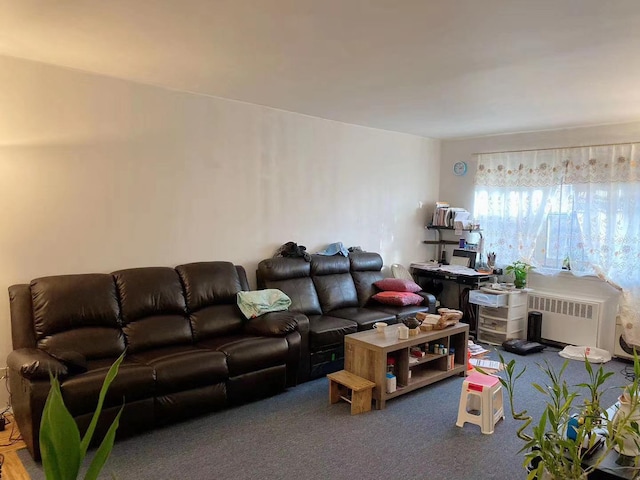 living room with radiator and carpet