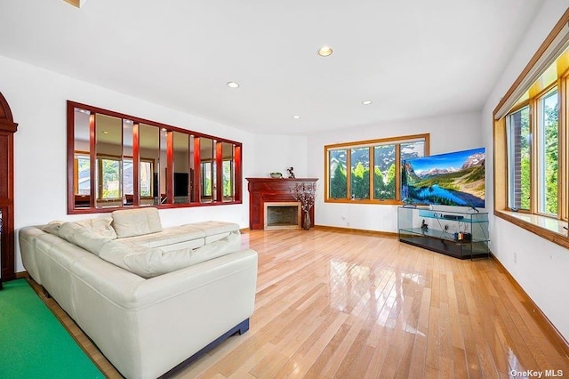 living room featuring hardwood / wood-style flooring