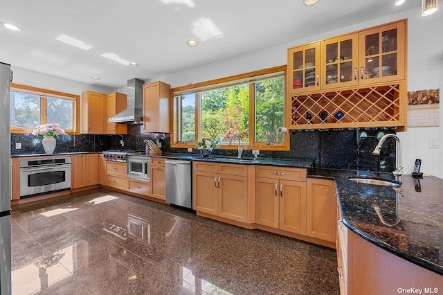 kitchen featuring wall chimney exhaust hood, plenty of natural light, sink, and appliances with stainless steel finishes