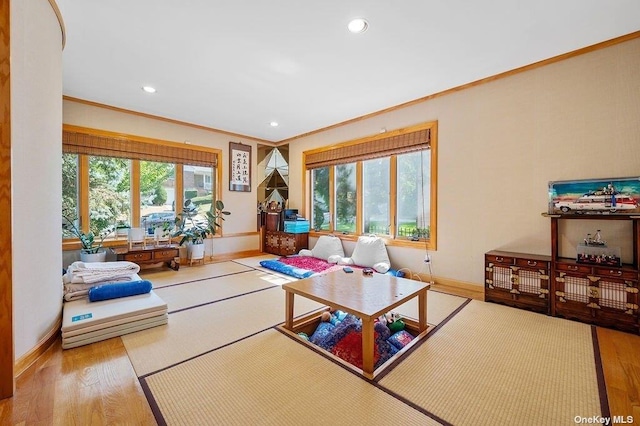 living room with crown molding and wood-type flooring