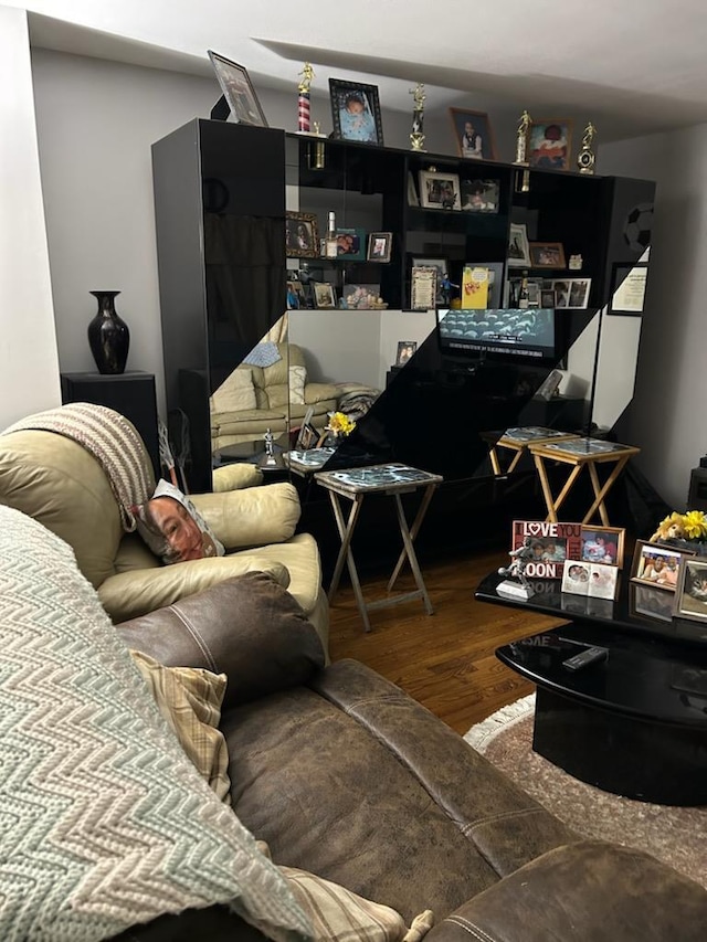 living room featuring hardwood / wood-style flooring