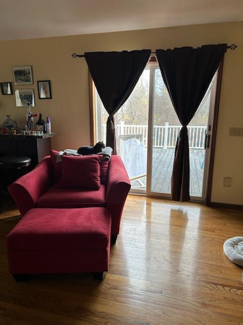 living room with hardwood / wood-style floors