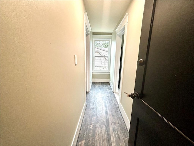 corridor with dark hardwood / wood-style floors