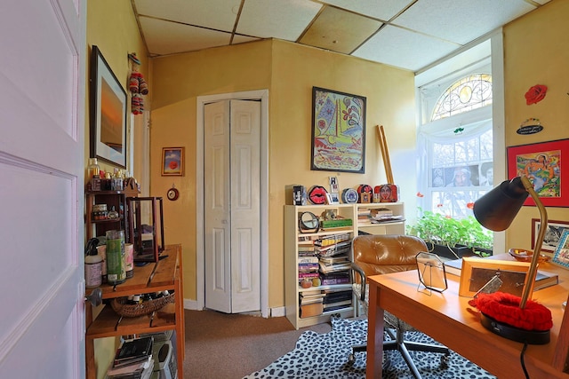 carpeted office featuring a drop ceiling