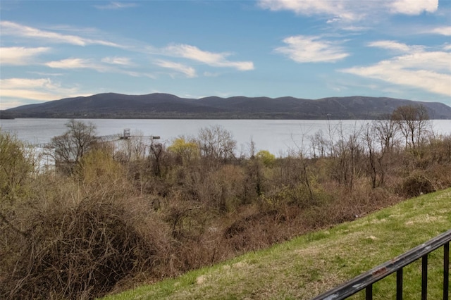 528 Barberry Ln, New Windsor, NY 12553 - property view of water with a mountain view