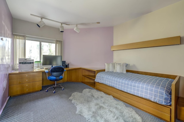 carpeted bedroom with rail lighting