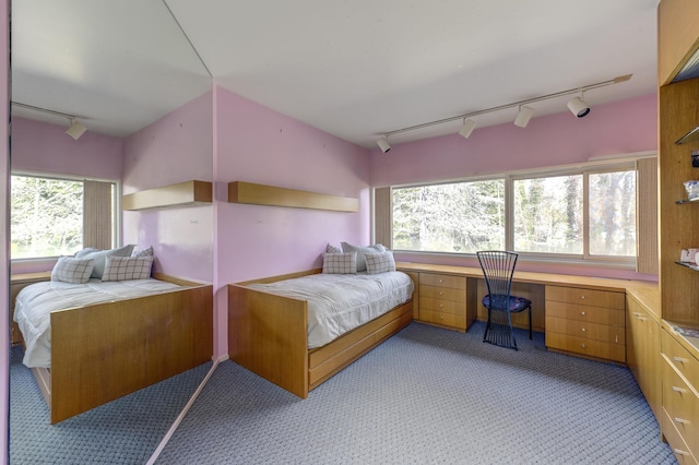 carpeted bedroom with built in desk and rail lighting