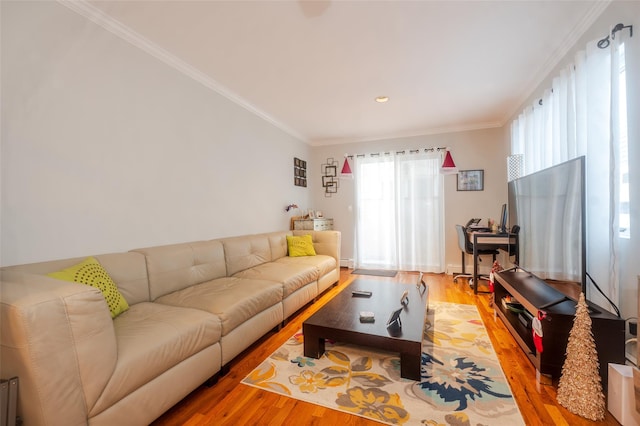 living room featuring hardwood / wood-style floors and ornamental molding