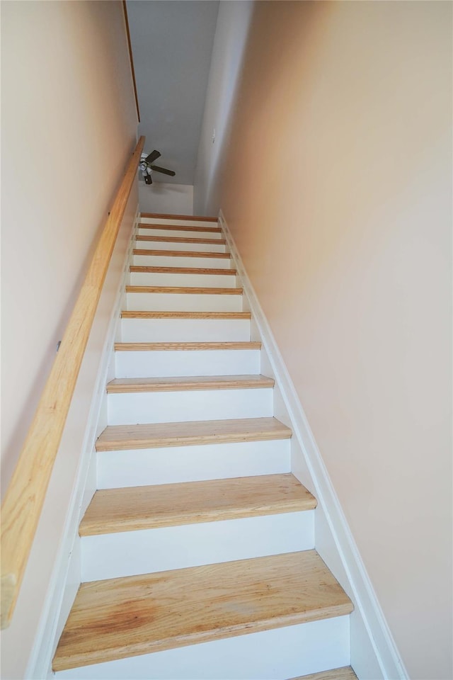 staircase with hardwood / wood-style flooring and ceiling fan