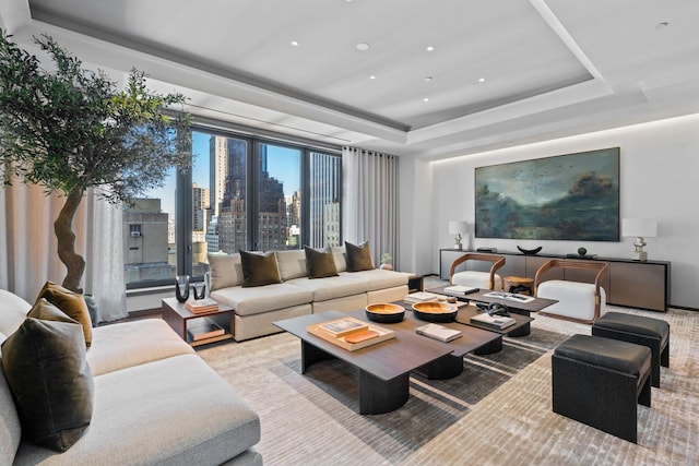 living area featuring a raised ceiling