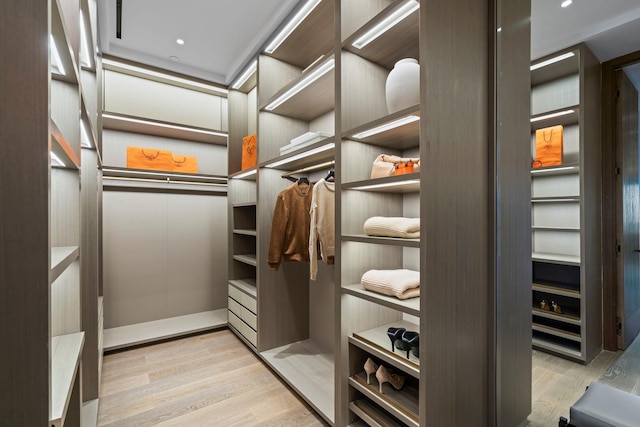 spacious closet with wood finished floors