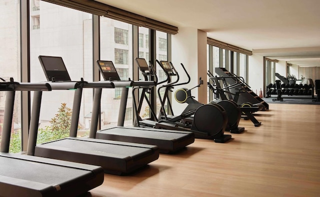 exercise room featuring expansive windows and wood finished floors