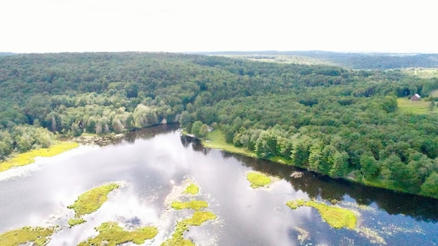 122 Jaketown Rd, Swan Lake, NY 12783 - photo 9