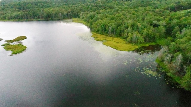 122 Jaketown Rd, Swan Lake, NY 12783 - photo 11