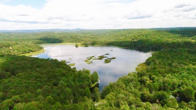 122 Jaketown Rd, Swan Lake, NY 12783 - photo 12