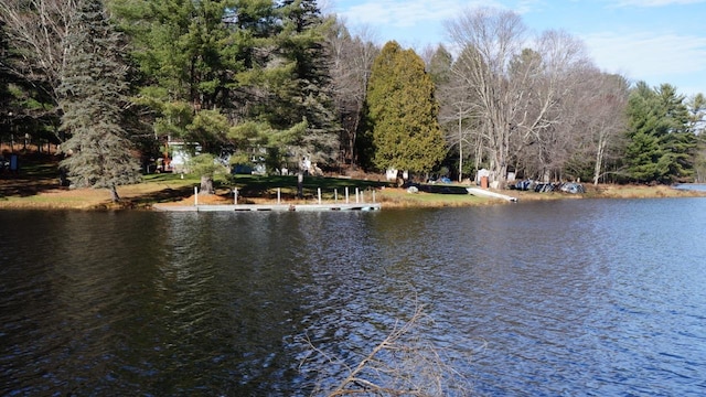 122 Jaketown Rd, Swan Lake, NY 12783 - photo 13