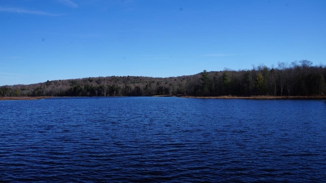 122 Jaketown Rd, Swan Lake, NY 12783 - photo 14