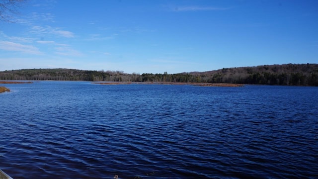 122 Jaketown Rd, Swan Lake, NY 12783 - photo 15