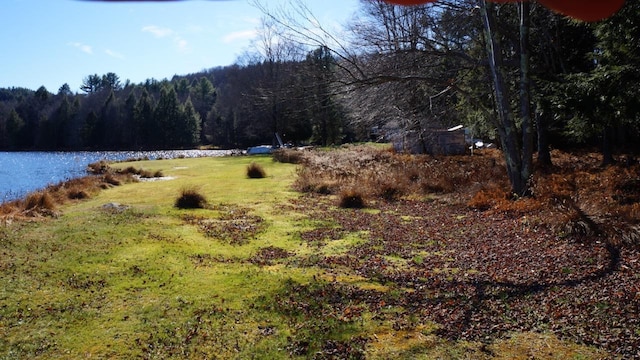 122 Jaketown Rd, Swan Lake, NY 12783 - photo 19