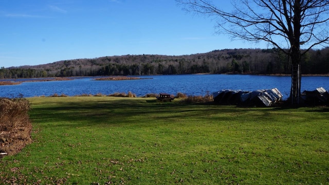 122 Jaketown Rd, Swan Lake, NY 12783 - photo 20