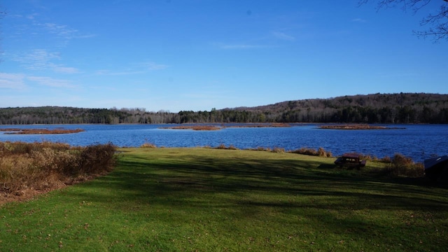 122 Jaketown Rd, Swan Lake, NY 12783 - photo 22