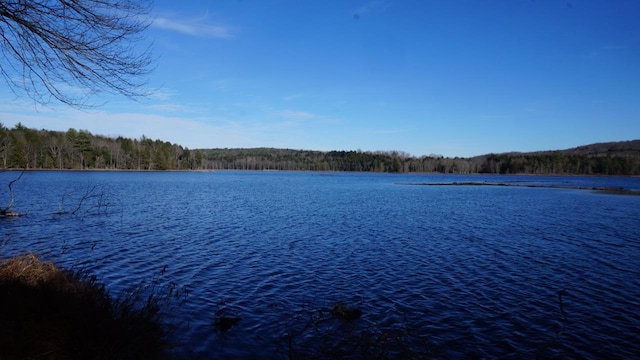 122 Jaketown Rd, Swan Lake, NY 12783 - photo 23