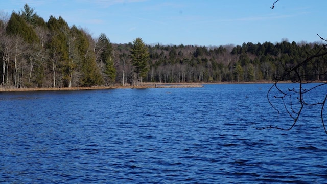 122 Jaketown Rd, Swan Lake, NY 12783 - photo 24