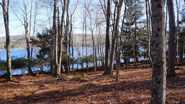 122 Jaketown Rd, Swan Lake, NY 12783 - photo 27