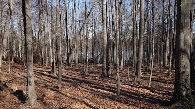 122 Jaketown Rd, Swan Lake, NY 12783 - photo 29