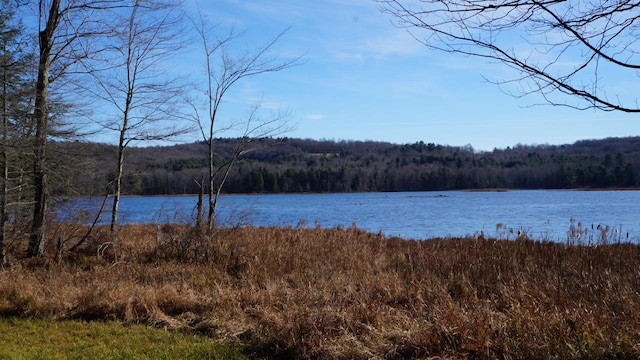 122 Jaketown Rd, Swan Lake, NY 12783 - photo 31