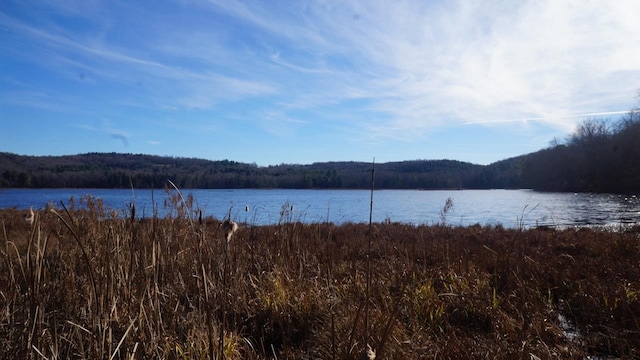 122 Jaketown Rd, Swan Lake, NY 12783 - photo 34