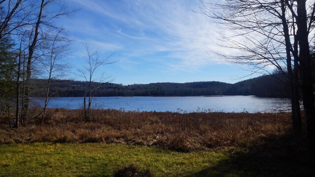 122 Jaketown Rd, Swan Lake, NY 12783 - photo 36