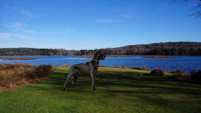 122 Jaketown Rd, Swan Lake, NY 12783 - photo 38