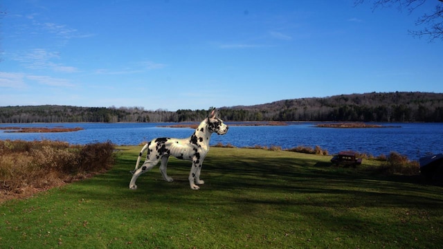 122 Jaketown Rd, Swan Lake, NY 12783 - photo 46