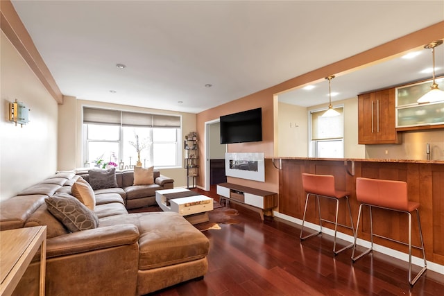 living room with sink and dark wood-type flooring