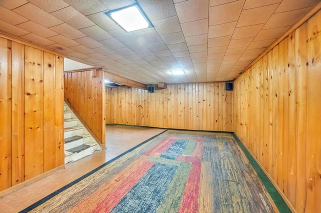 basement with wooden walls