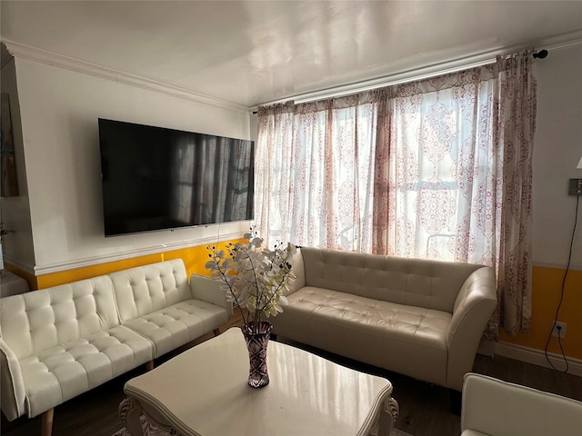 living room featuring ornamental molding and a healthy amount of sunlight